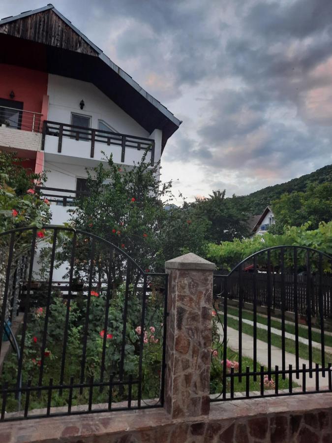 Casa Lica Apartment Caciulata Ngoại thất bức ảnh